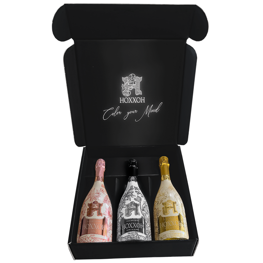 HOXXOH Ruby 75cl – Luminous champagne bottle – photo 14